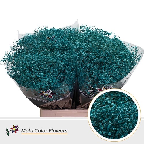 Gypsophila Small Dyed Turquiose