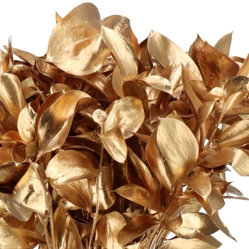 HARD RUSCUS DYED ANTIQUE GOLD