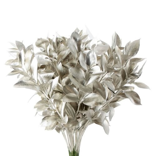 HARD RUSCUS DYED PLATINUM