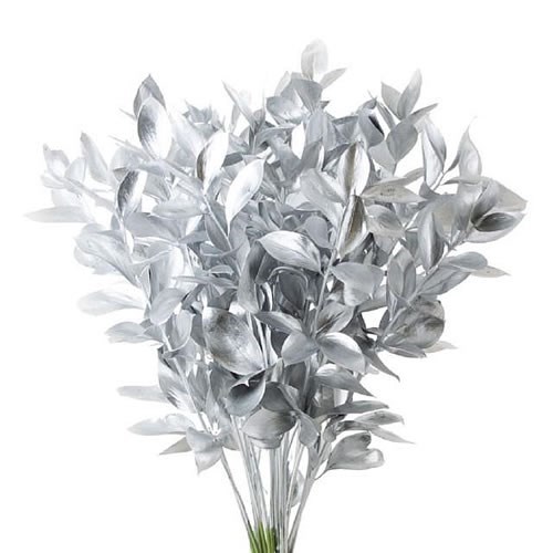 HARD RUSCUS DYED SILVER