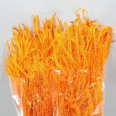 HELECHO PRESERVED ORANGE