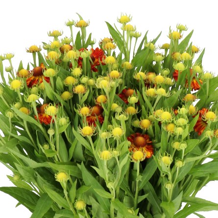Autumn's Fire Bouquet