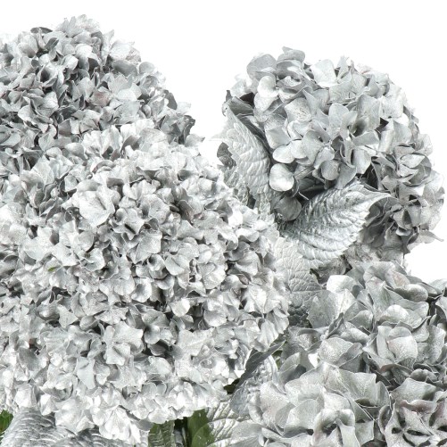 HYDRANGEA DYED SILVER