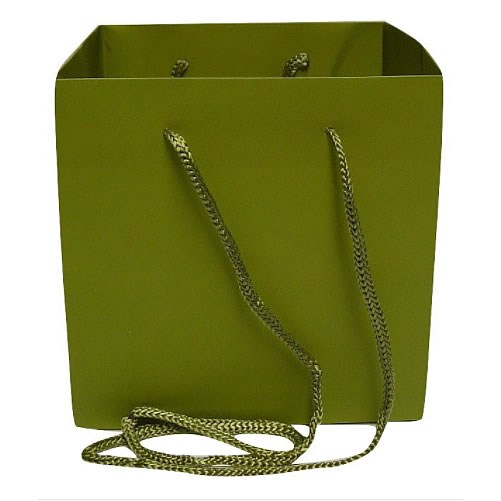 Hand Tied Gift Bag - Sage 17x17cm 