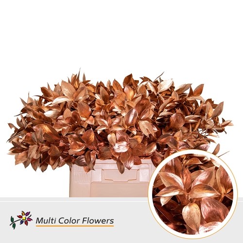 Hard Ruscus Dyed Copper
