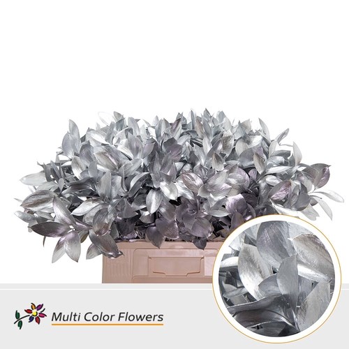 Hard Ruscus Dyed Silver