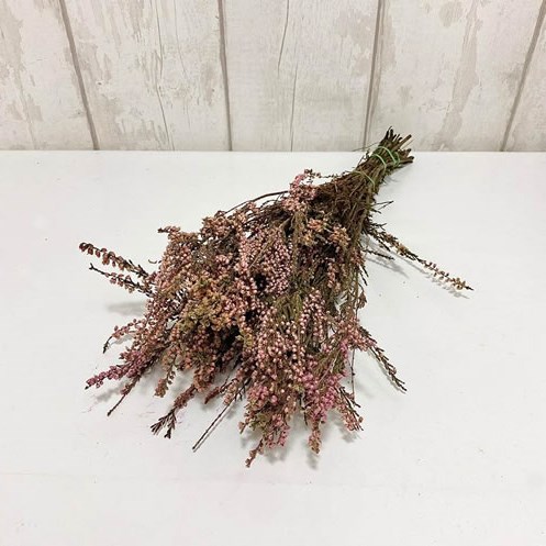 Heather Pink - Dried