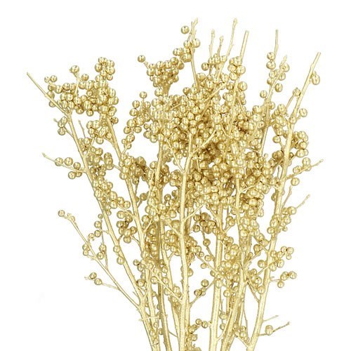 ILEX DYED GOLD