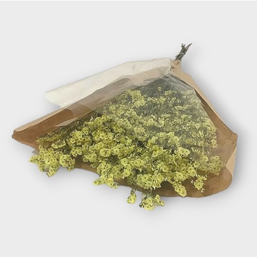 Limonium Yellow (Dried)