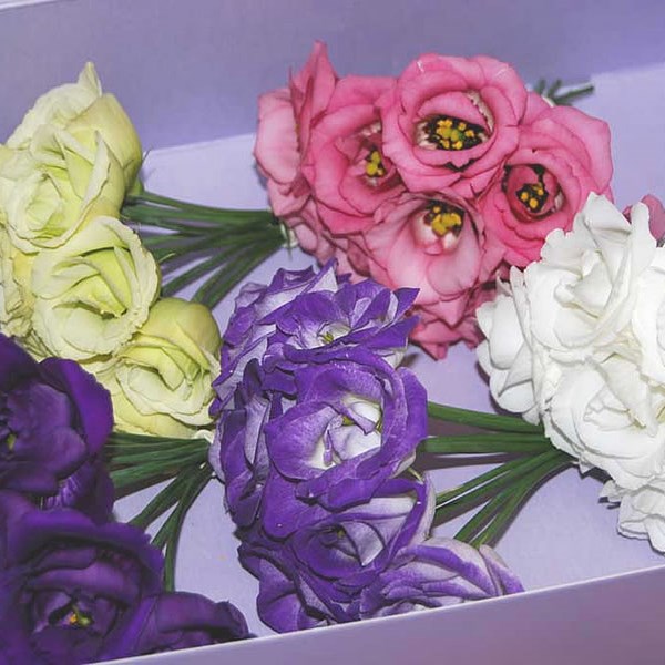EUSTOMA LISIANTHUS MINI ALISSA MIX