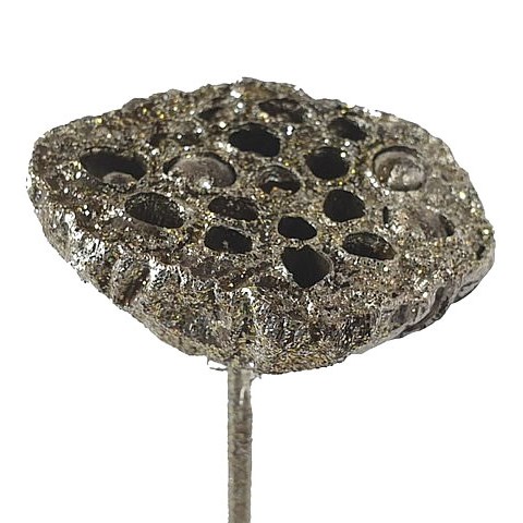 LOTUS HEADS PLATINUM + GLITTER
