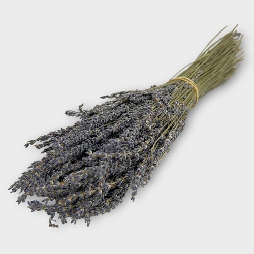 Lavender - Dried (Single Bunches)