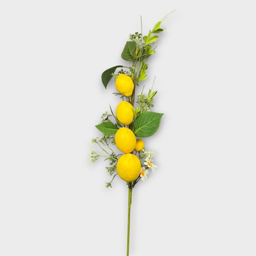 Lemon Picks with Foliage