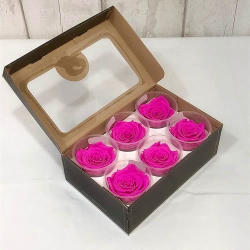 Luxury One Year Preserved Roses | Wholesale Flowers & Florist Supplies UK