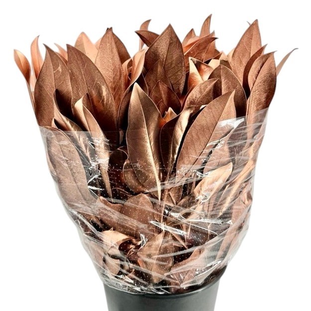 MAGNOLIA LEAVES DYED COPPER