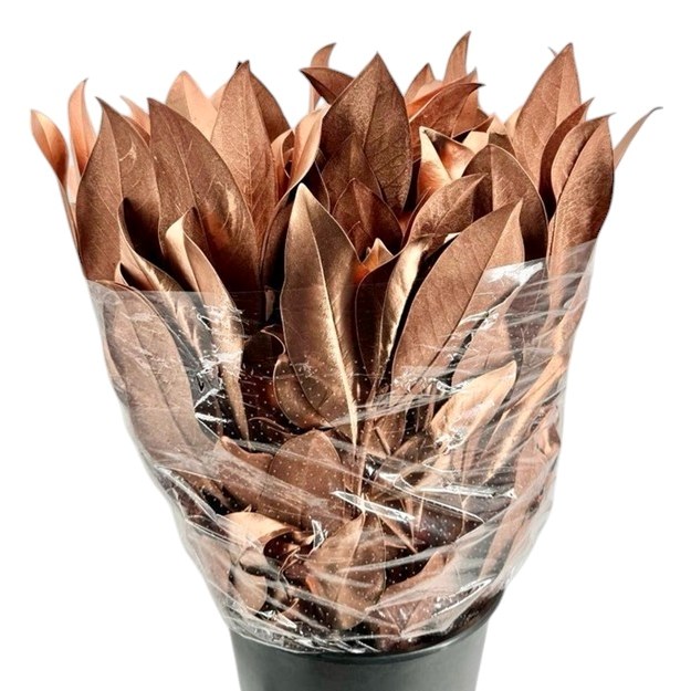 MAGNOLIA LEAVES DYED COPPER
