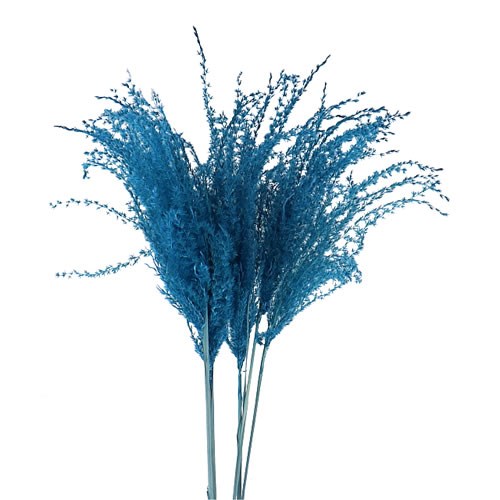 MISCANTHUS GRASS DYED BLUE (dried)