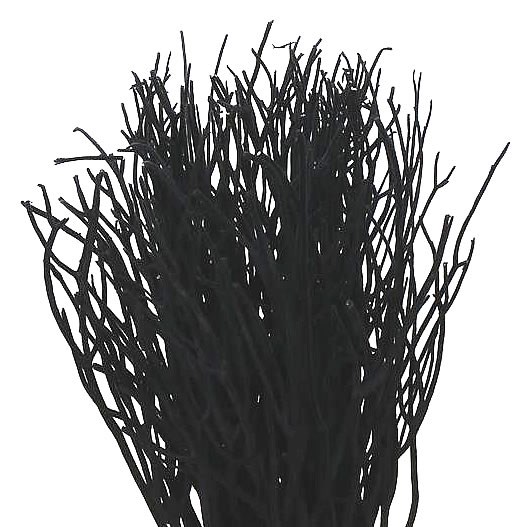 MITSUMATA DYED BLACK