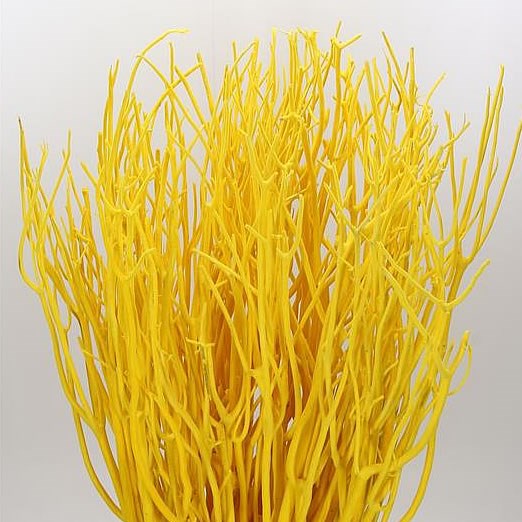 MITSUMATA DYED YELLOW