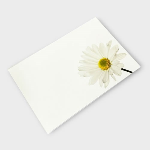 Message Cards - Daisies (9x6cm)
