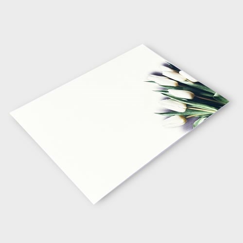 Message Cards Large - Ivory Tulips (13x9cm)