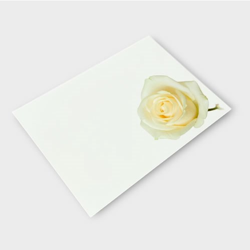 Message Cards Large - Nude Rose (12.5x9cm)