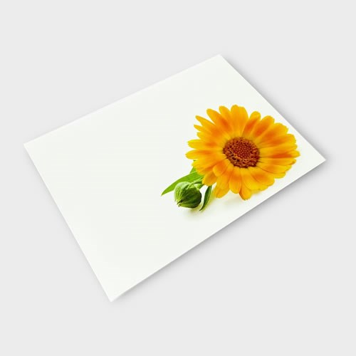 Message Cards Large - Orange (12.5x9cm)