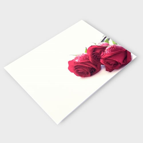 Message Cards Large - Red Roses (13x9cm)