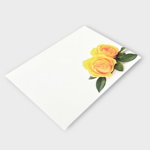 Message Cards Large - Yellow Peony (13x9cm)