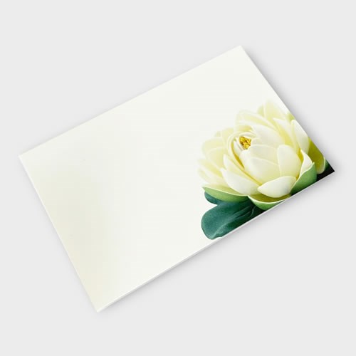 Message Cards - Lotus (9x6cm)