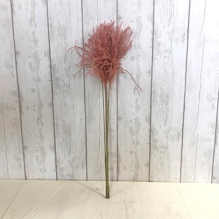 Miscanthus Light Pink (Dried) 