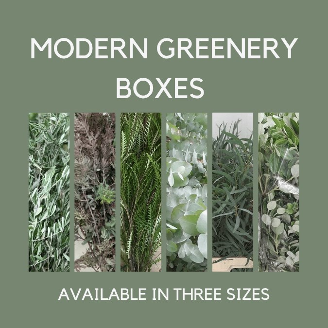 Mixed Xmas Greenery Wraps (Modern)
