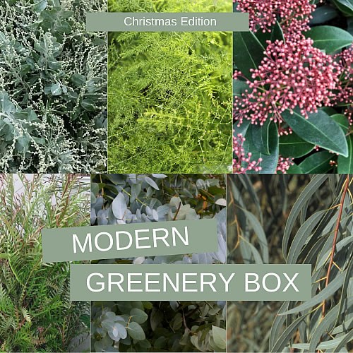 Mixed Xmas Greenery Boxes (Modern)
