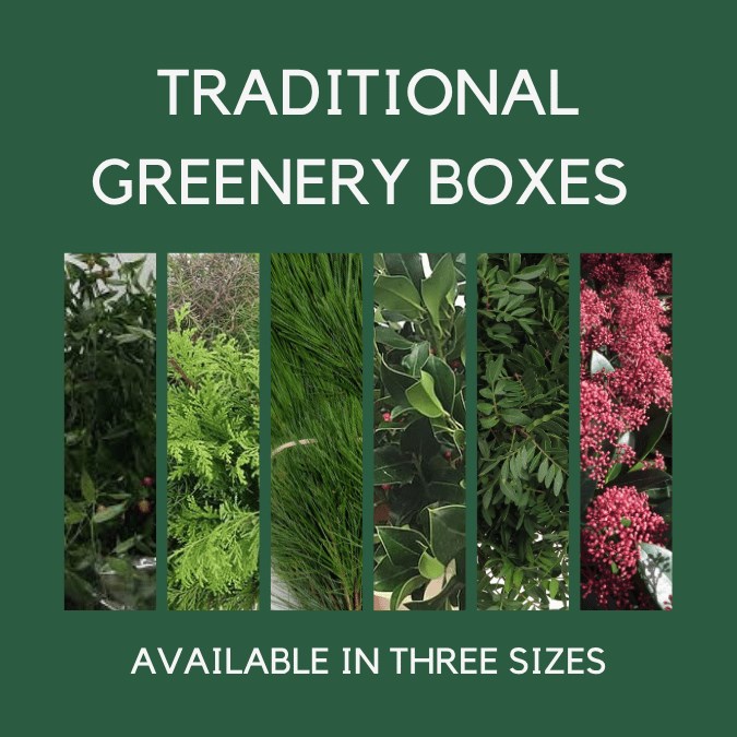 Mixed Xmas Greenery Wraps (Traditional)