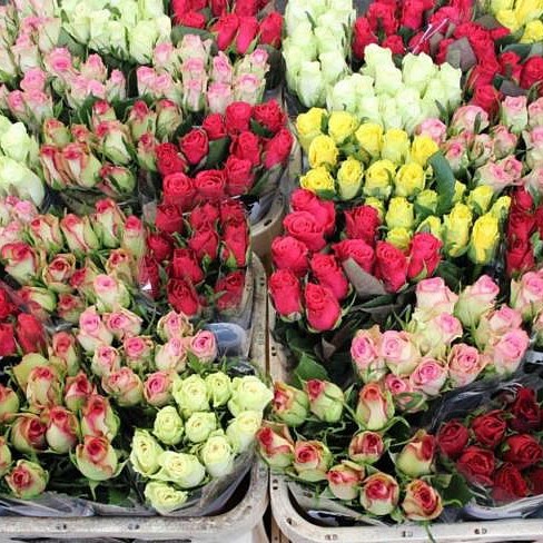 Mixed Roses - 10 stem bunches