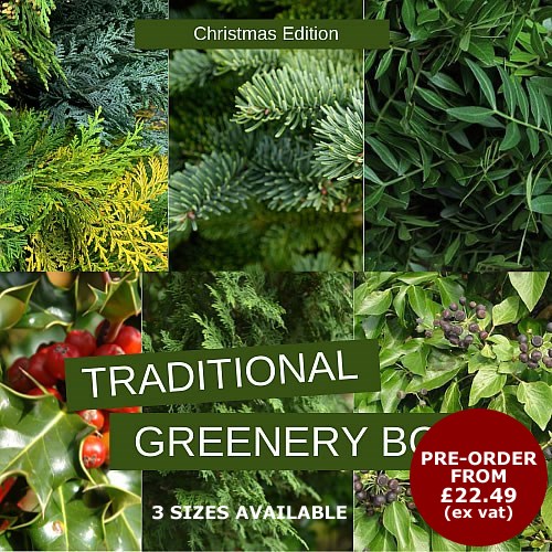 Mixed Xmas Greenery Boxes (Traditional)