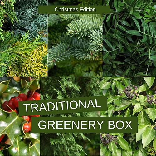 Mixed Xmas Greenery Boxes (Traditional)