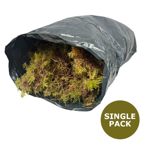 Moss - Natural English x 1 (Ideal for Wreath Making)