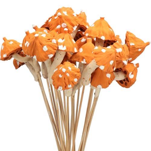 Mushroom Picks - Lotus Orange