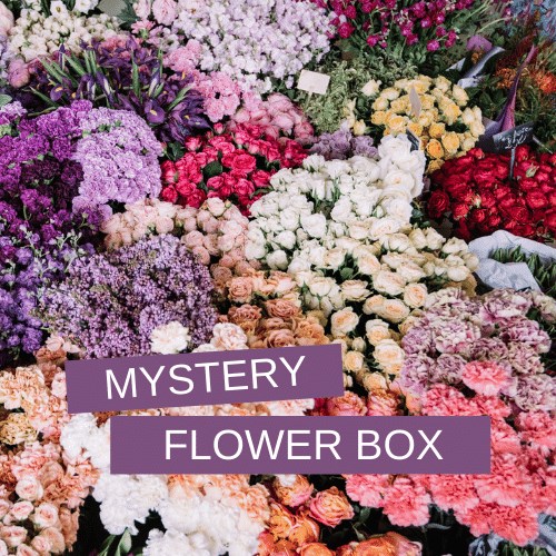 Mystery Fresh Flower Box