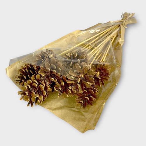 Pine Cone Picks (Natural)