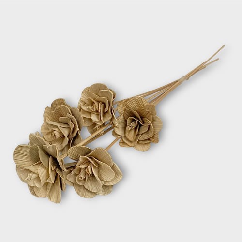 Natural Wooden Coco Roses