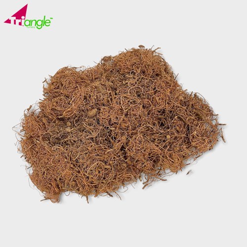 Curly Moss Silver 500gm Wholesale Dutch Flowers & Florist Supplies UK