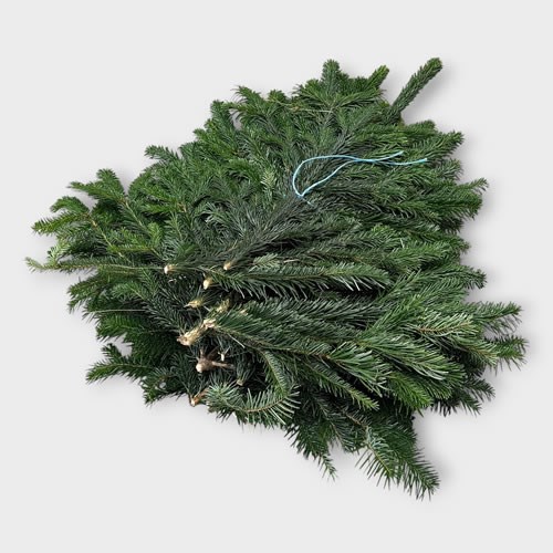 Nordman Fir Bundle (4.5-5Kg)