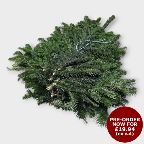Nordman Fir Bundle approx. 4.5-5Kg (Call Office to Pre-Order)