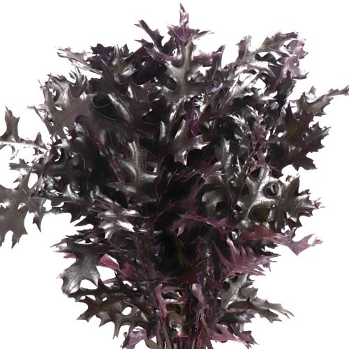 OAK LEAVES DYED FROST EGGPLANT (SMALL)