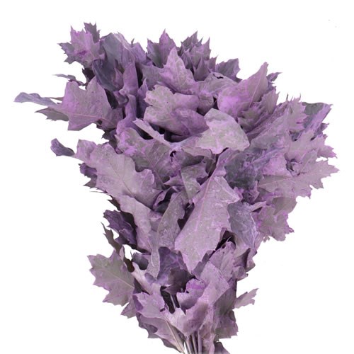OAK LEAVES DYED FROST LILAC