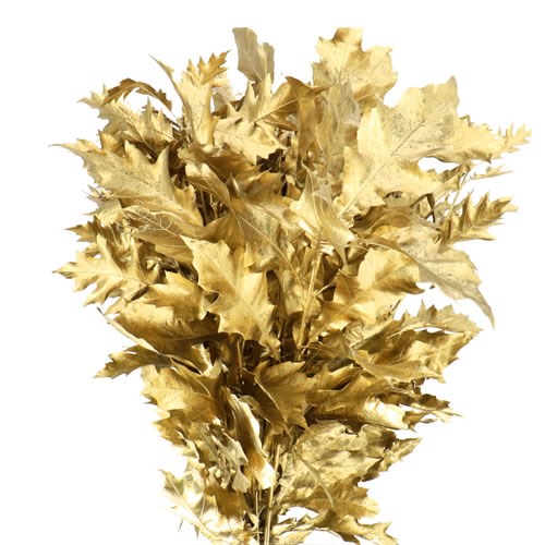 OAK LEAVES DYED GOLD