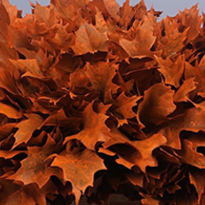 OAK LEAVES DYED ORANGE