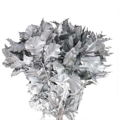 OAK LEAVES DYED SILVER